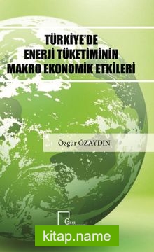Türkiye’de Enerji Tüketiminin Makro Ekonomik Etkileri