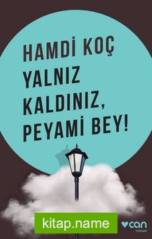 Yalnız Kaldınız, Peyami Bey!