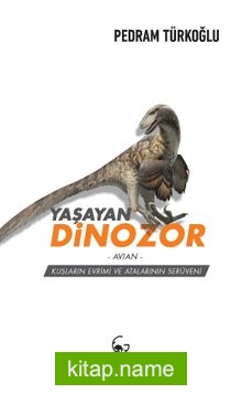 Yaşayan Dinozor – Avian – Kuşların Evrimi ve Atalarının Serüveni