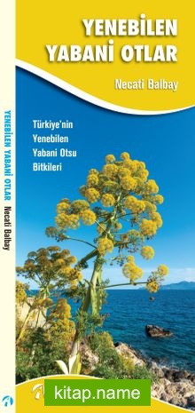 Yenebilen Yabani Otlar Türkiye’nin Yenebilen Yabani Otsu Bitkileri