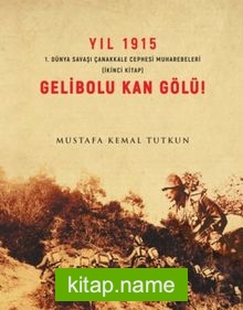 Yıl 1915 Gelibolu Kan gölü 1. Dünya Savaşı Çanakkale Savaşı Muharebeleri