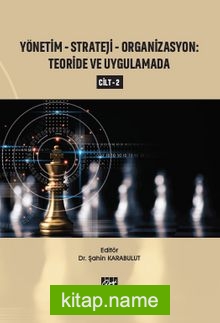 Yönetim – Strateji – Organizasyon Teoride ve Uygulamada (Cilt 2)