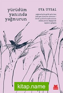 Yürüdüm Yanında Yağmurun