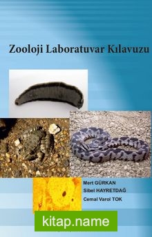 Zooloji Laboratuvar Kılavuzu