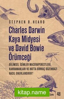 Charles Darwin Kaya Midyesi ve David Bowie Örümceği
