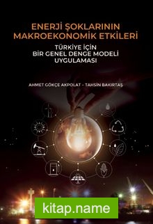 Enerji Şoklarının Makroekonomik Etkileri: Türkiye İçin Bir Genel Denge Modeli Uygulaması