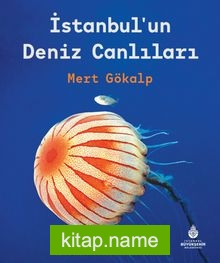 İstanbul’un Deniz Canlıları