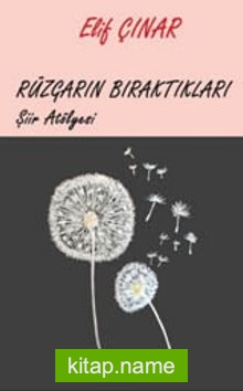 Rüzgarın Bıraktıkları