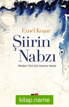 Şiirin Nabzı  Modern Türk Şiiri Üzerine Yazılar