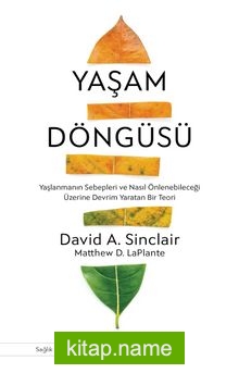 Yaşam Döngüsü Yaşlanmanın Sebepleri ve Nasıl Önlenebileceği Üzerine Devrim Yaratan Bir Teori